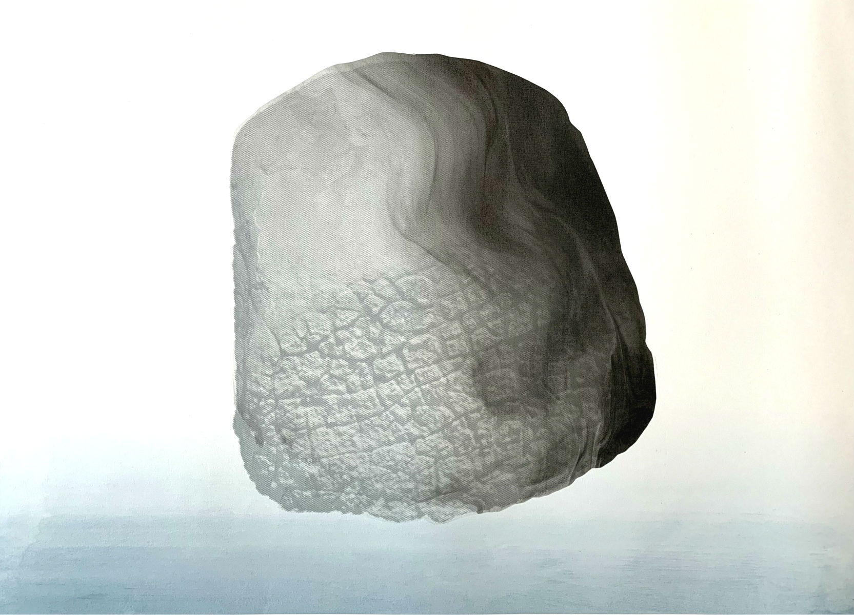 Marianna Stuhr Petrified Wood